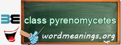 WordMeaning blackboard for class pyrenomycetes